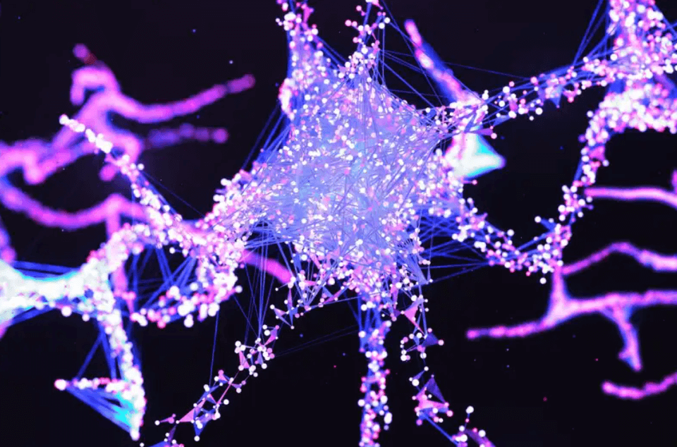 脑机领域新进展：国内团队开发化学介导的人工神经元，可与大鼠脑细胞交换神经递质