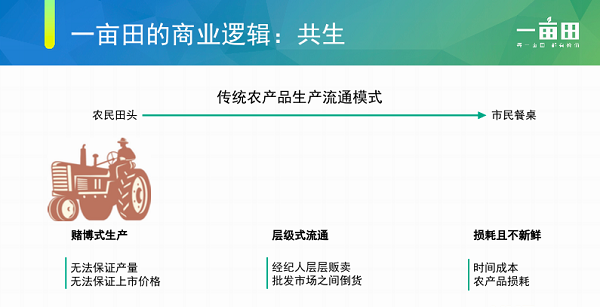 IT思维
