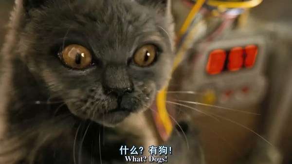 扩大线下渠道，京东这么做能否挑战阿里？